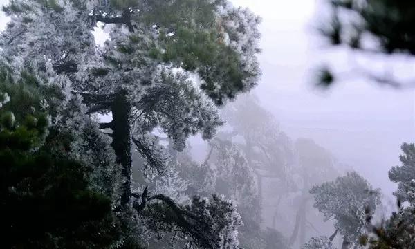 美图秀秀下载2023最新版